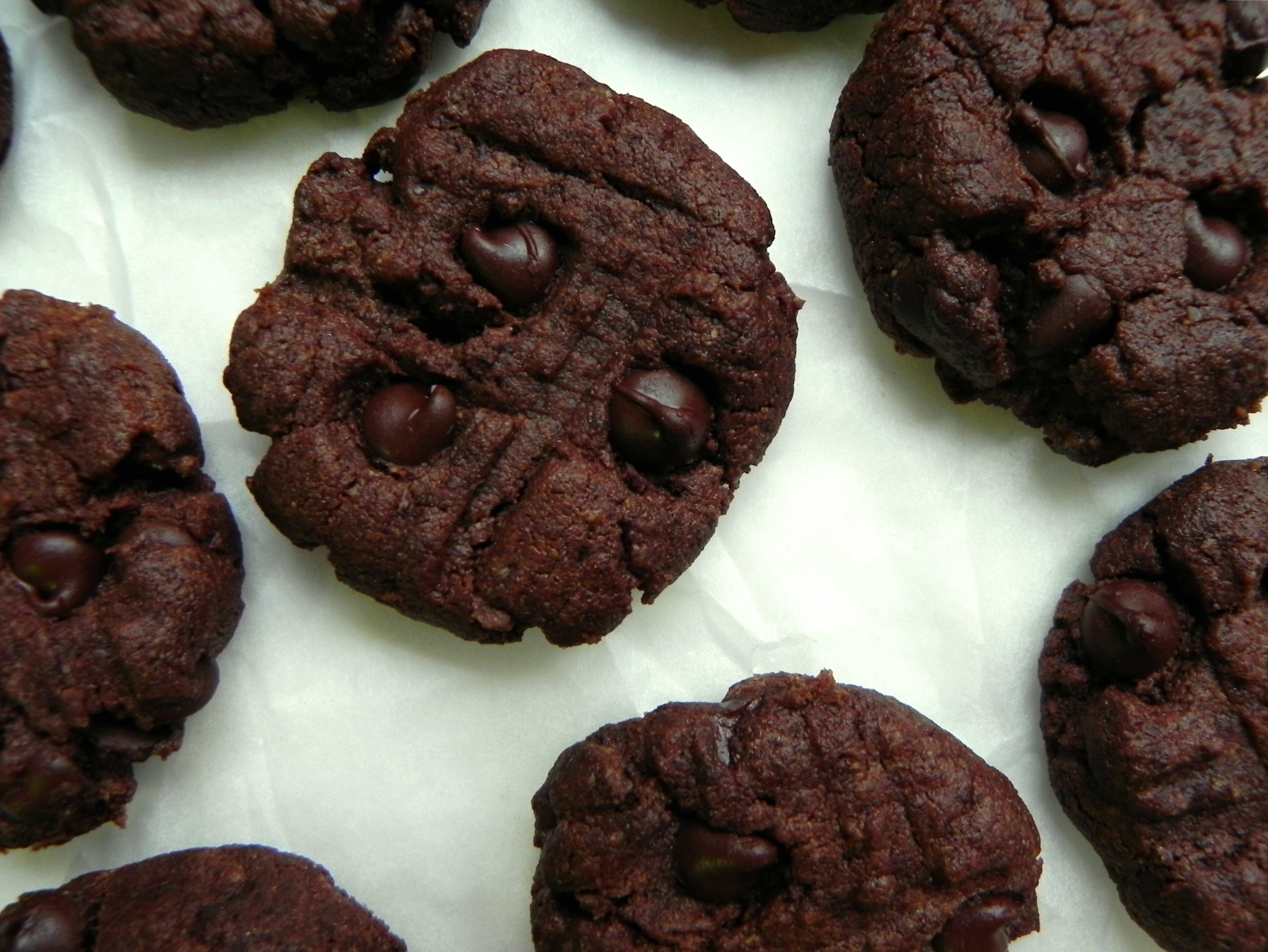 Chocolate Peanut Butter Cookies Chocolate Peanut Butter Cookies