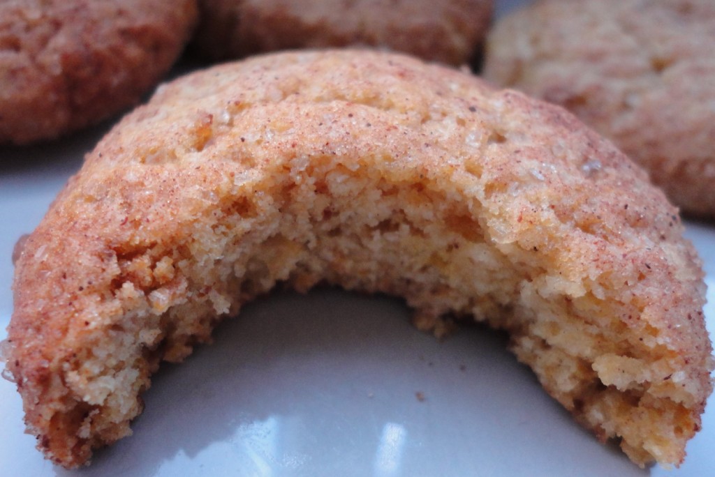 chocolate chip cookie chocolate chip cookie