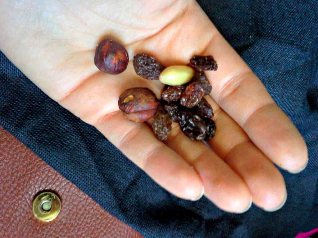 trail-mix