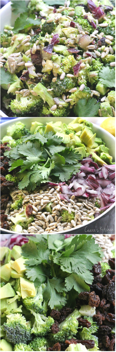 healthy creamy broccoli healthy creamy broccoli