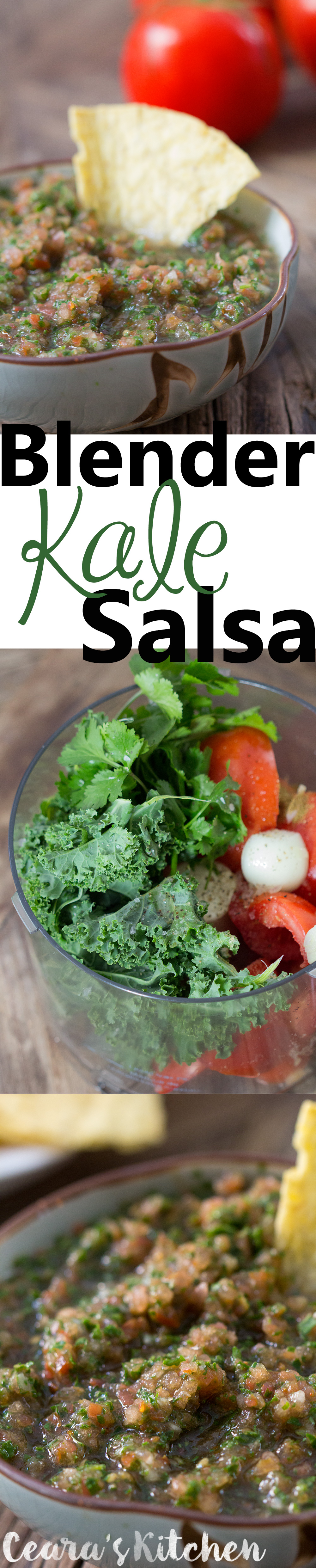 fresh salsa blender kale salsa 