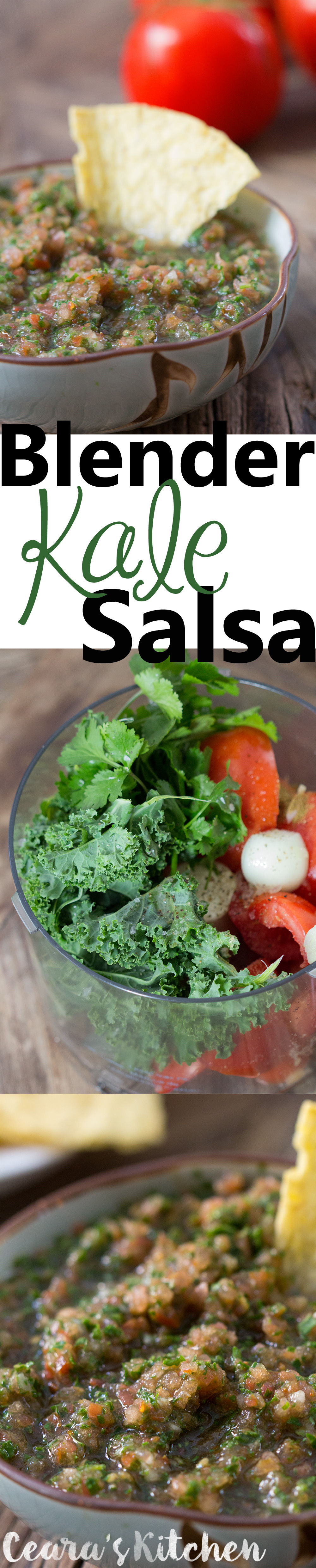 fresh salsa blender kale salsa