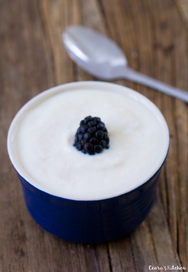 Vegan Yogurt Made with Two Basic Ingredients.