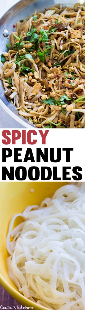 Vegan Spicy Peanut Noodles