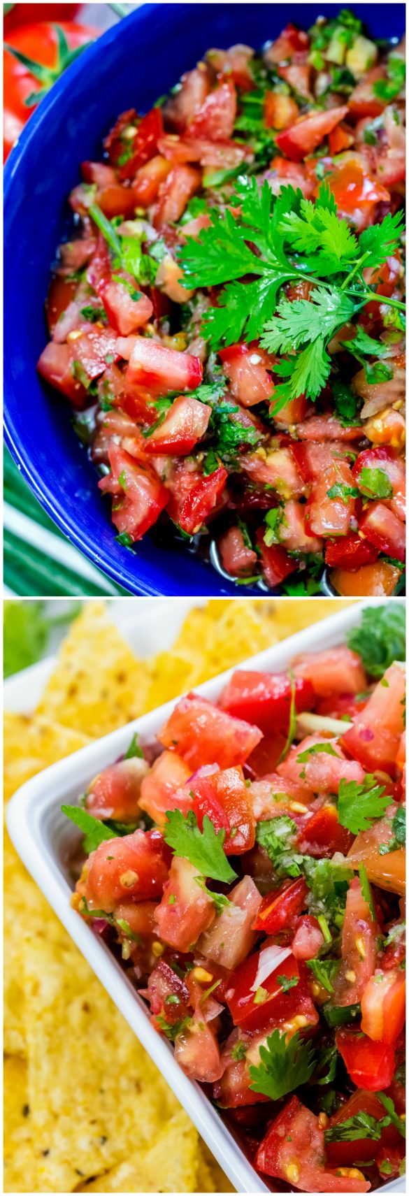 The Best Pico de Gallo Fresh Tomato Salsa Ceara's Kitchen